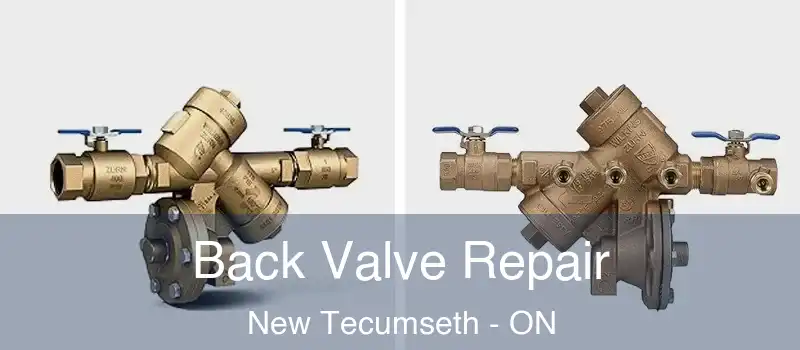  Back Valve Repair New Tecumseth - ON