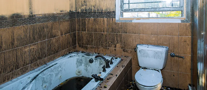 Residential Water Damage Restoration in New Tecumseth, ON