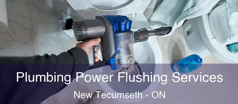  Plumbing Power Flushing Services New Tecumseth - ON
