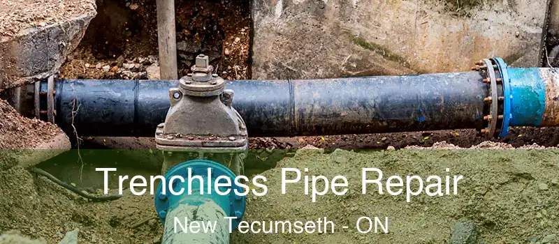  Trenchless Pipe Repair New Tecumseth - ON
